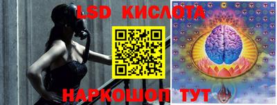 прущие грибы Новодвинск