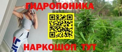 прущие грибы Новодвинск