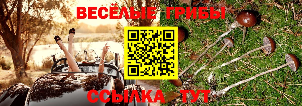 Белгород  Псилоцибиновые грибы Psilocybine cubensis  закладка  Вход с VPN 