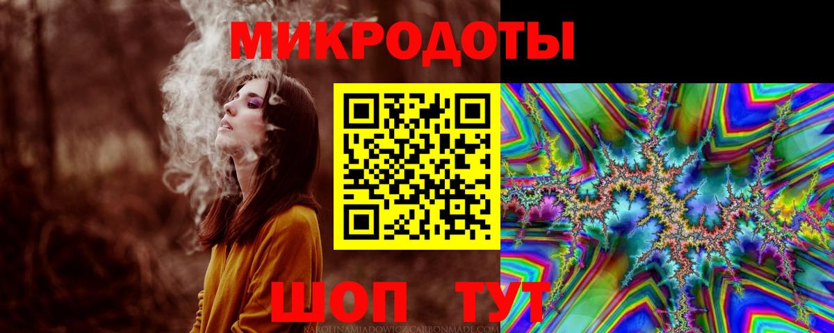 Галлюциногенные грибы Psilocybine cubensis Белгород